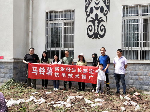 科技特派员服务团深入昭觉布拖，助力马铃薯产业振兴